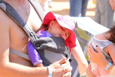 DSC_2102 (Large).JPG